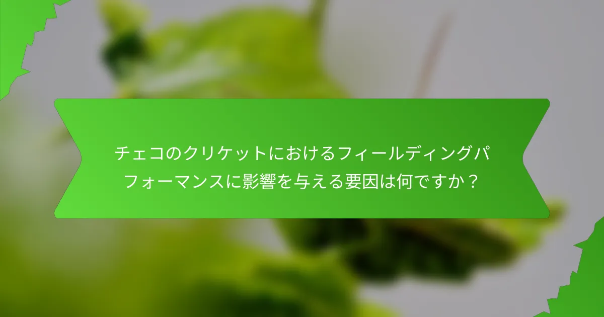 チェコのクリケットにおけるフィールディングパフォーマンスに影響を与える要因は何ですか？